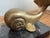 Nautical Vintage Small Nautical Whale Paperweight on Black Marble Base For Sale - Image 3 of 5