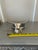 Figurative Bull Valet Catchall Tray For Sale - Image 3 of 11