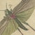 Bertuch, Hercules Beetle and Lantern Fly, 1805, Print For Sale - Image 4 of 12