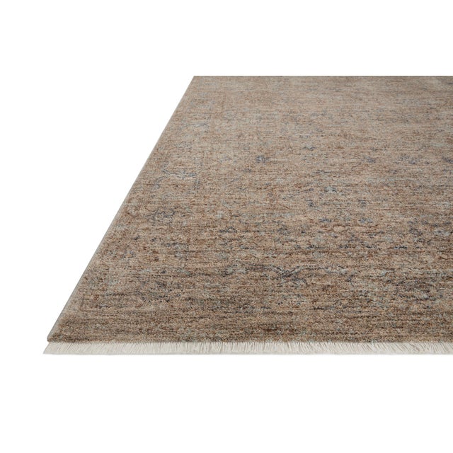 Transitional Angela Rose x Loloi Blake Rug Taupe / Blue 4'-0" x 5'-7" Accent Rug For Sale - Image 3 of 8