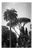 Paul Cooklin, Rome Italy 00151, Edition of 50 For Sale