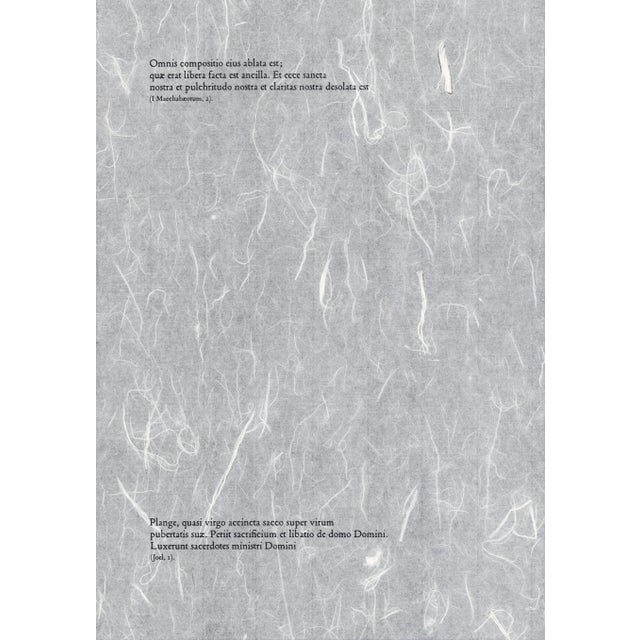 Salvador Dalí 1968 Salvador Dalí Biblia Sacra "Plange, Virgo, Accinta Sacco" (Lament Virgin, Girded With Sackcloth) For Sale - Image 4 of 10