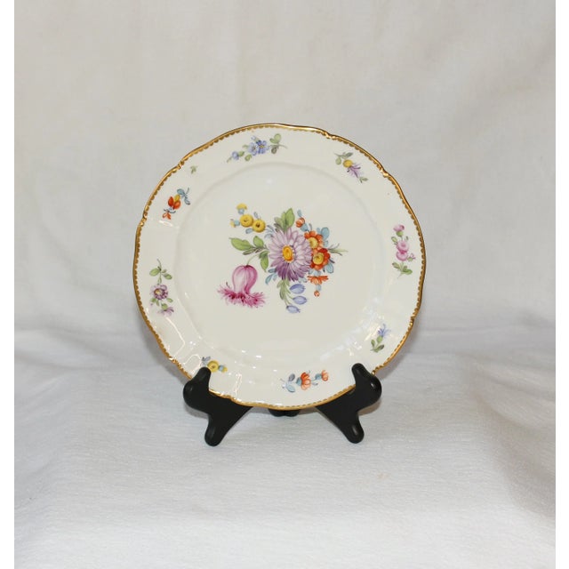 Western German Nyphenburg Salad Plate For Sale In Raleigh - Image 6 of 9