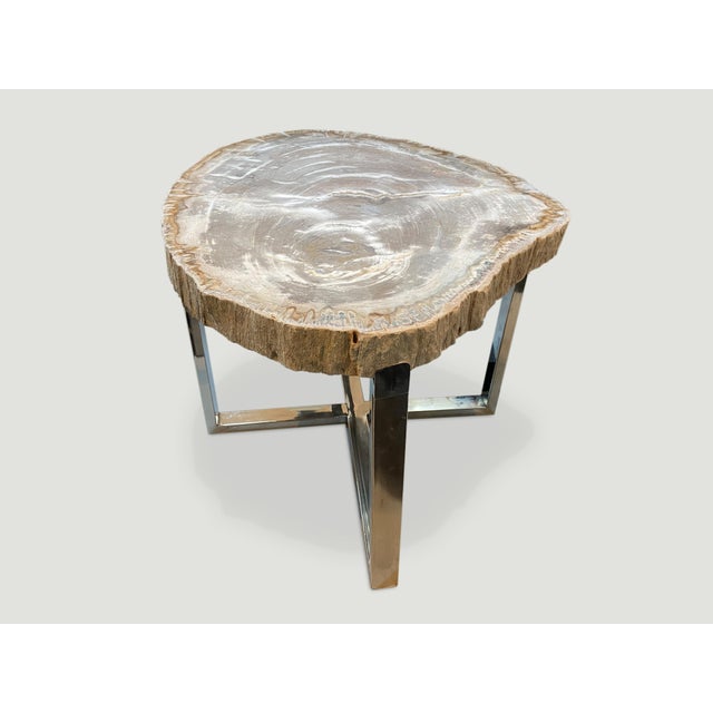 Wood Andrianna Shamaris High Quality Petrified Wood Slab Top Side Table For Sale - Image 7 of 18