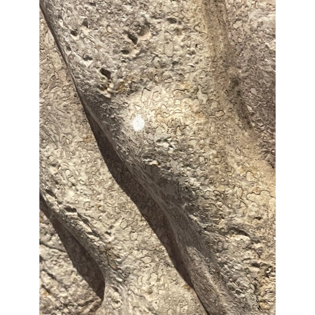 Tan Mid 20th Century “Centaur and Nude” Greek Fragment Reproduction Featuring Lapeth Fighting Centaur Parthenon For Sale - Image 8 of 12