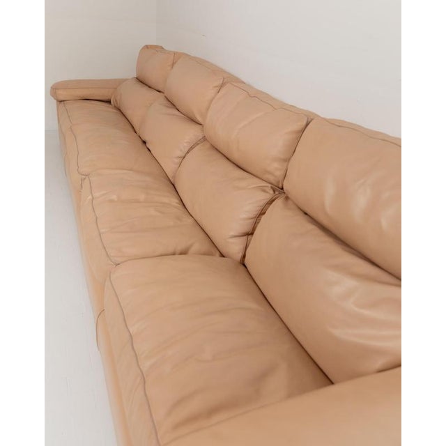 Pink Vintage Petronio 4-6 Seater Sofa in Blush Leather by Tito Agnoli for Poltrona Frau, 1970s For Sale - Image 8 of 13