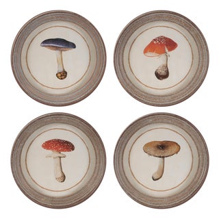 Framed Mushroom Print (Set of 4) For Sale