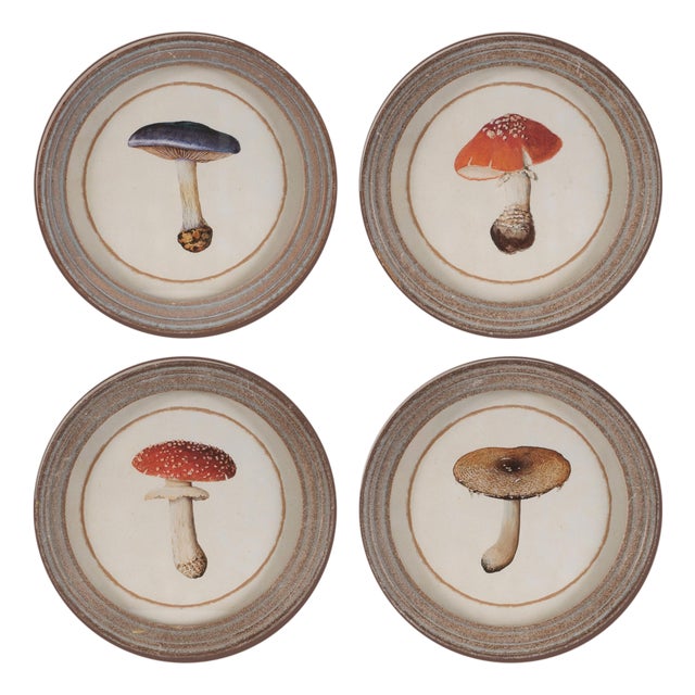 Framed Mushroom Print (Set of 4) For Sale