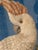 Victorian Stumpwork Parrot For Sale - Image 4 of 7