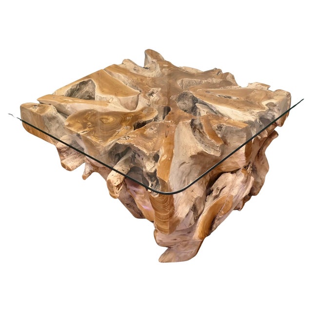 Glass Vintage Yewwood Root Tree Coffee Table with Glass Top, 1980 For Sale - Image 7 of 7