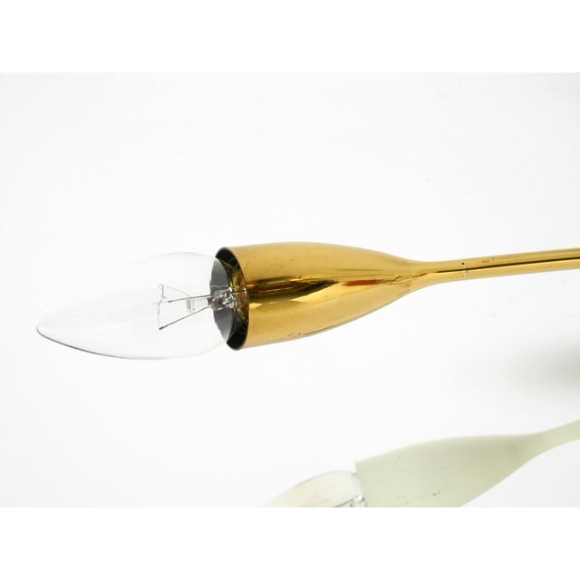 Large Mid-Century Modern Brass Sputnik Ceiling Lamp with 12 Arms, 1950s For Sale - Image 17 of 18
