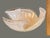 Late 20th Century Italian Art Glass Seashell Abstract Shape Large Centerpiece Bowl Caramel Tan Color For Sale - Image 4 of 6
