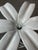Mid-Century Modern Rare Mid Century Patio Attributed to Arthur Court Rare Lily Aluminum Table and Chairs For Sale - Image 3 of 15