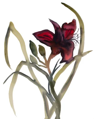 "Lily" Contemporary Original Botanical Flower Watercolor Painting by Elizabeth Becker