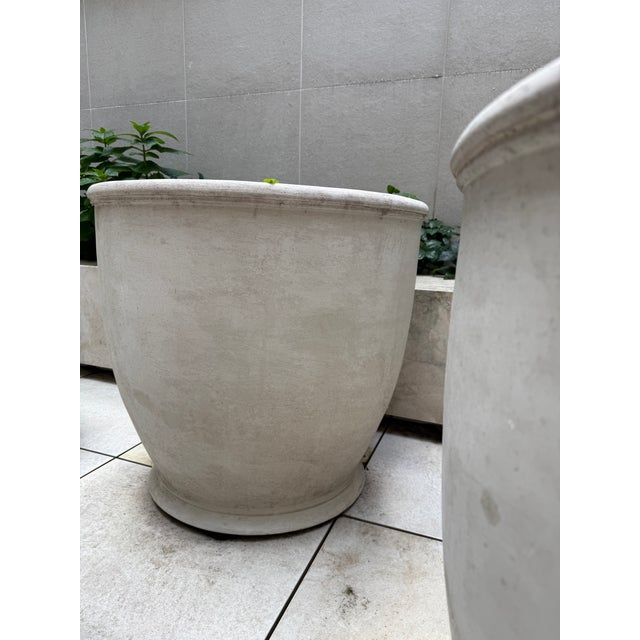 Pennoyer Newman Modern Egg Cup Planter For Sale - Image 4 of 4