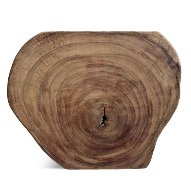 Vintage Organic Monkey Pod Side Table For Sale In Los Angeles - Image 6 of 8
