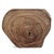 Vintage Organic Monkey Pod Side Table For Sale In Los Angeles - Image 6 of 8