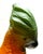 Rare Original Tiffin Art Deco Glass Parrot Lamp Circa 1930s For Sale - Image 11 of 13
