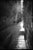 Paul Cooklin, Street Light, Edition of 50 For Sale - Image 4 of 4