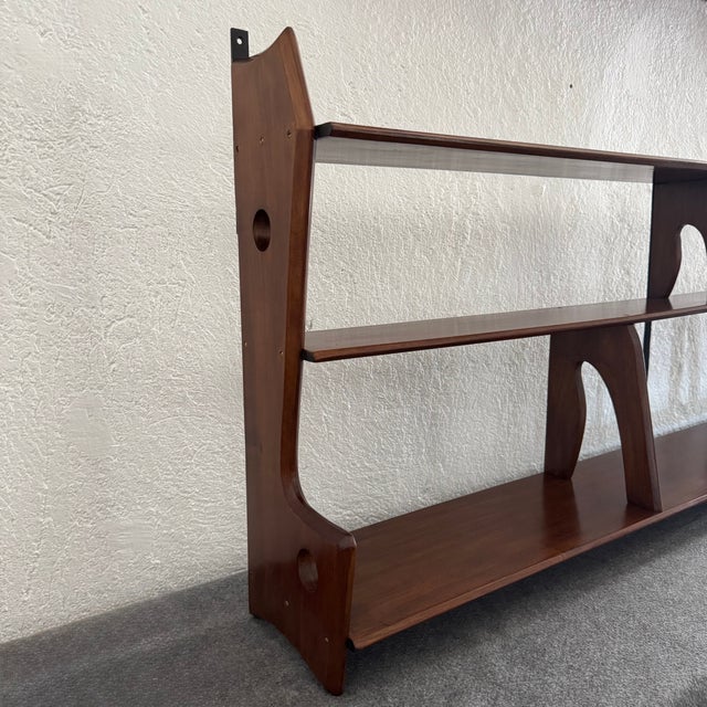Vintage Organic Hanging Shelf, 1950s For Sale - Image 10 of 15