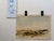 Paper Henry Emil Salloch Original Watercolor on Paper Arid Plain Landscape, 1951. For Sale - Image 7 of 7