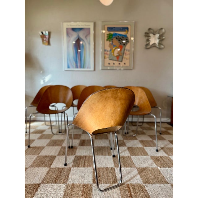 A set of 8 mid century modern Italian “Medea” chairs, designed by Vittorio Nobili for F.lli Tagliabue, circa 1950s....