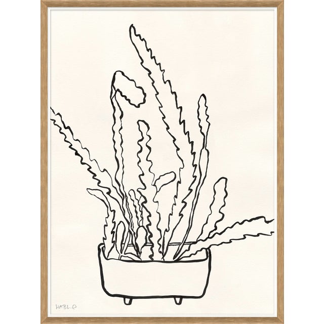 Hable Sedum, Peregrina I and II by Susan Hable For Sale - Image 4 of 5