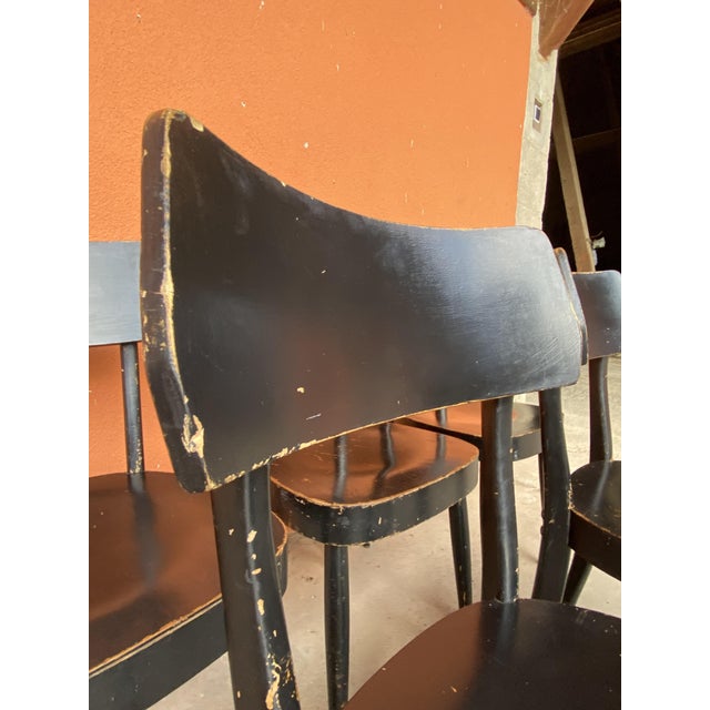 Bentwood Bistro Chairs, 1930s, Set of 6 For Sale - Image 3 of 13