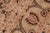 Shabby Chic 1990's Beige/Green Wool Rug - 8'1'' X 10'3'' For Sale - Image 9 of 9