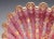 Exceptional late 19th-century Moser Bohemian art glass shell-form dish in richly colored cranberry glass, elaborately...