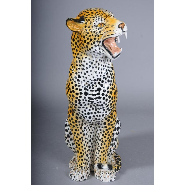 Leopard with Broken Foot For Sale - Image 12 of 18