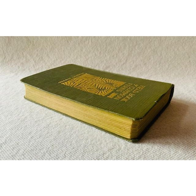 Green Antique Field Book of Common Ferns - 1928 First Edition For Sale - Image 8 of 14