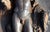 Alberto Thorvaldsen, Panel with Jason and the Golden Fleece, 2000, Resin For Sale - Image 3 of 6