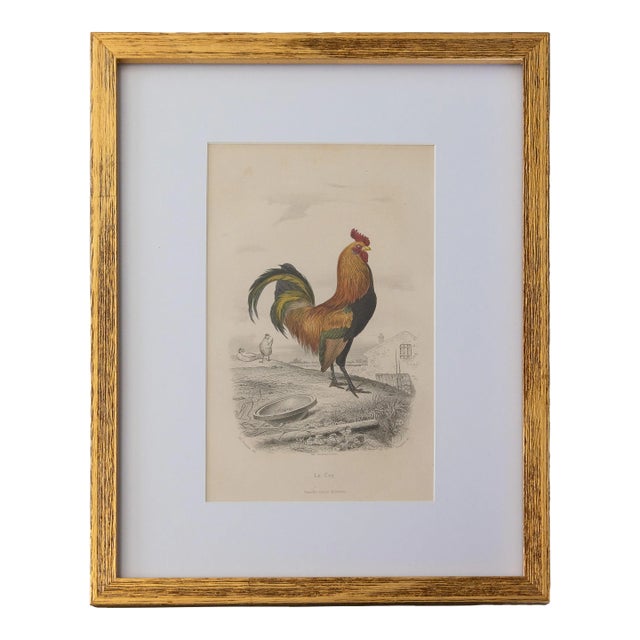 Custom Framed Antique Rooster Engraving For Sale