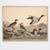 Not Yet Made - Made To Order Vintage Bird Duck Print Set of 2 - 30" X 24" For Sale - Image 5 of 8