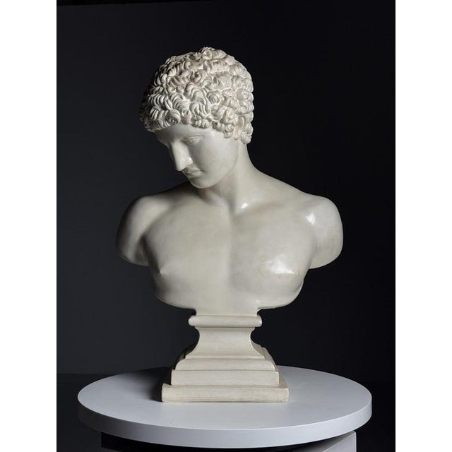 Plaster Bust of Hermes For Sale - Image 4 of 17