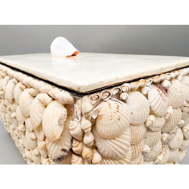 Vintage Coastal Shell Box – Philippine Shellcraft Decorative Storage – Organic Modern / Boho Coastal For Sale - Image 15 of 18
