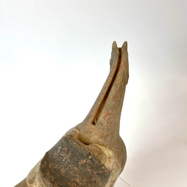 Chinese Tang Dynasty Terra Cotta Horse For Sale - Image 9 of 13
