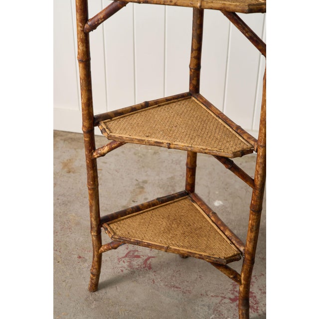 19th Century Three-Tier English Tiger Bamboo Corner Shelf For Sale In Charleston - Image 6 of 9