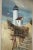 Vintage Donald Allen Mosher 'Rockport Lighthouse' Painting - Straitsmouth Light? For Sale In Boston - Image 6 of 11