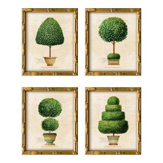 Framed Reproduction Vintage "Topiary Garden (Set of 4)" Art Prints For Sale