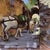 The painting captures a serene moment in a narrow pathway, where donkeys laden with green packs navigate through sunlit...