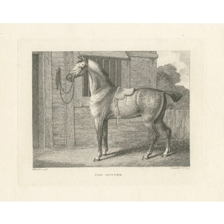 Samuel Howitt, The Hunter, 1799, Engraving For Sale