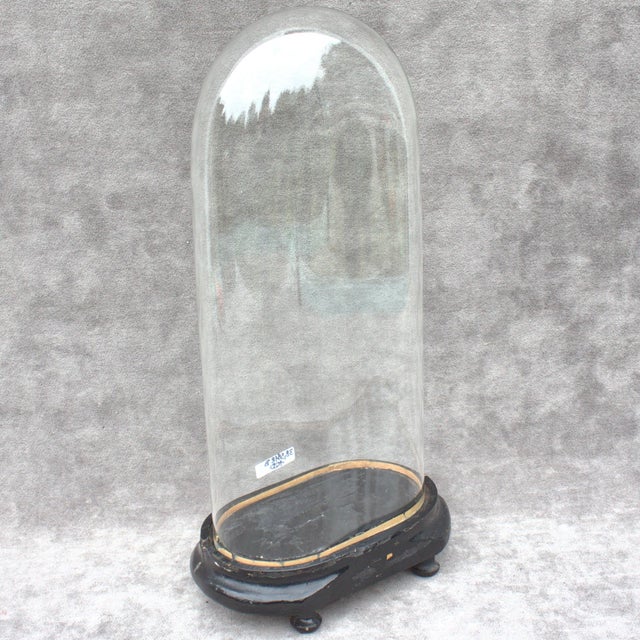 Wood Antique Oval Glass Dome 15.16 X 7.09 X 3.94 Special Size Bell Jar Victorian Era 38,5 X 18 X 10 Cm Unique Collectible Timepiece Home Decor For Sale - Image 7 of 11