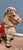 Carousel Horse Figurine, 1950s For Sale - Image 7 of 17