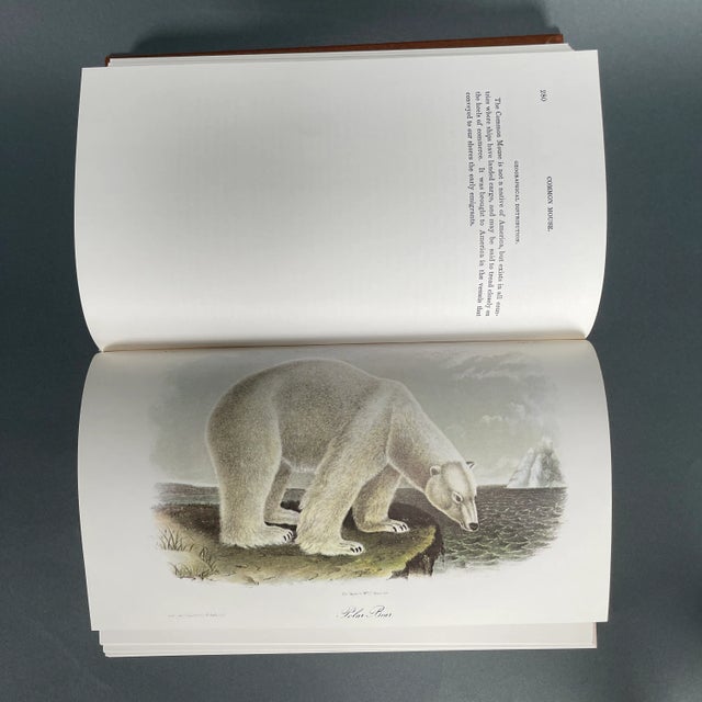 Vintage '79 Complete Audubon Vol. 5 National Society 75th Anniversary Ed. W/ Box For Sale - Image 10 of 12