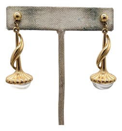 Example of Earrings