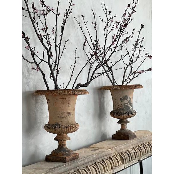 Pair of 19th Century Italian Rendez-Vous Sunset Urns For Sale - Image 4 of 18