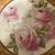 Vintage Royal Munich Porcelain Rose Cabinet Plates – Pair For Sale - Image 4 of 12