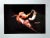 This photography includes a certificate of authenticity issued by gallery. It is a color photography on glossy paper....